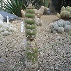 SAM_0373