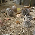 SAM_0347
