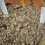SAM_0350