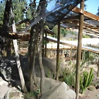 SAM_0368