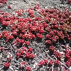 SAM_0376