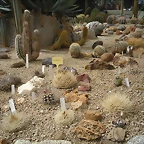 SAM_0346