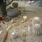 SAM_0348