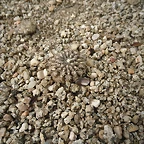SAM_0349