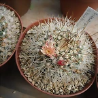 SAM_0354