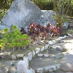 SAM_0378