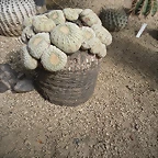 SAM_0360