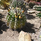 SAM_0377