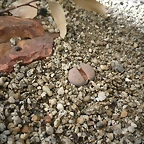 SAM_0353