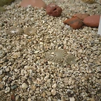 SAM_0359