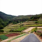 DSCN3543