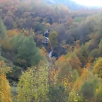 DSCN6121