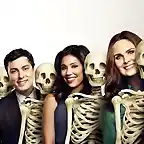 bones_S9-30sheet-skeletons-R1s_f