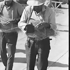 hiladores