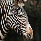 Zoo Lunaret + Sigean 18 i 19-09-10 220