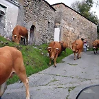 DSCN9138