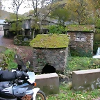 DSCN6039