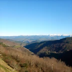 DSCN2596