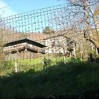 DSCN0447