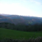 DSCN0486