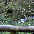 P4138308