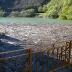 DSCN0353