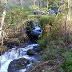 DSCN0387
