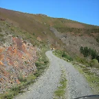 DSCN0410