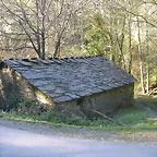 DSCN0384