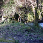 DSCN0385