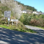 DSCN0319