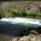 DSCN0245