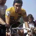 SUIZA 1974,,MERCKX