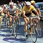 TOUR 1975,MERCKX,POPU,MOSER,VAN IMPE