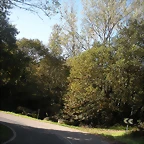 DSCN9986
