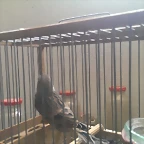 IMAG0143