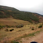 DSCN6609
