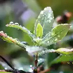 11, niebla y agua2, marca