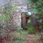 16-IMG_3149