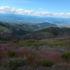 DSCN3957