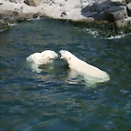 Zoo Hannover 18-06-11 1262
