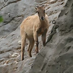 Zoo Hamburgo 17-06-11 1816