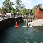 Zoo Hannover 18-06-11 1140