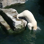 Zoo Hannover 18-06-11 1205