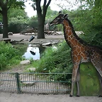 Zoo Hamburgo 17-06-11 1345