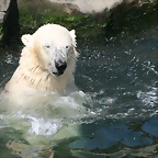Zoo Hannover 18-06-11 1184