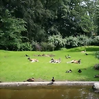 Zoo Hamburgo 17-06-11 1197