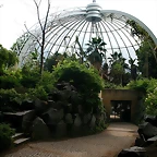 Zoo Hamburgo 17-06-11 179