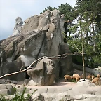 Zoo Hamburgo 17-06-11 1129