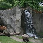 Zoo Hamburgo 17-06-11 1877